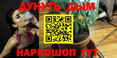 дмт Гусев