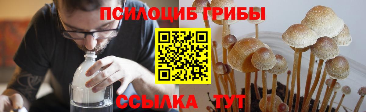 Ярославль  Галлюциногенные грибы мухоморы  Вход с VPN 